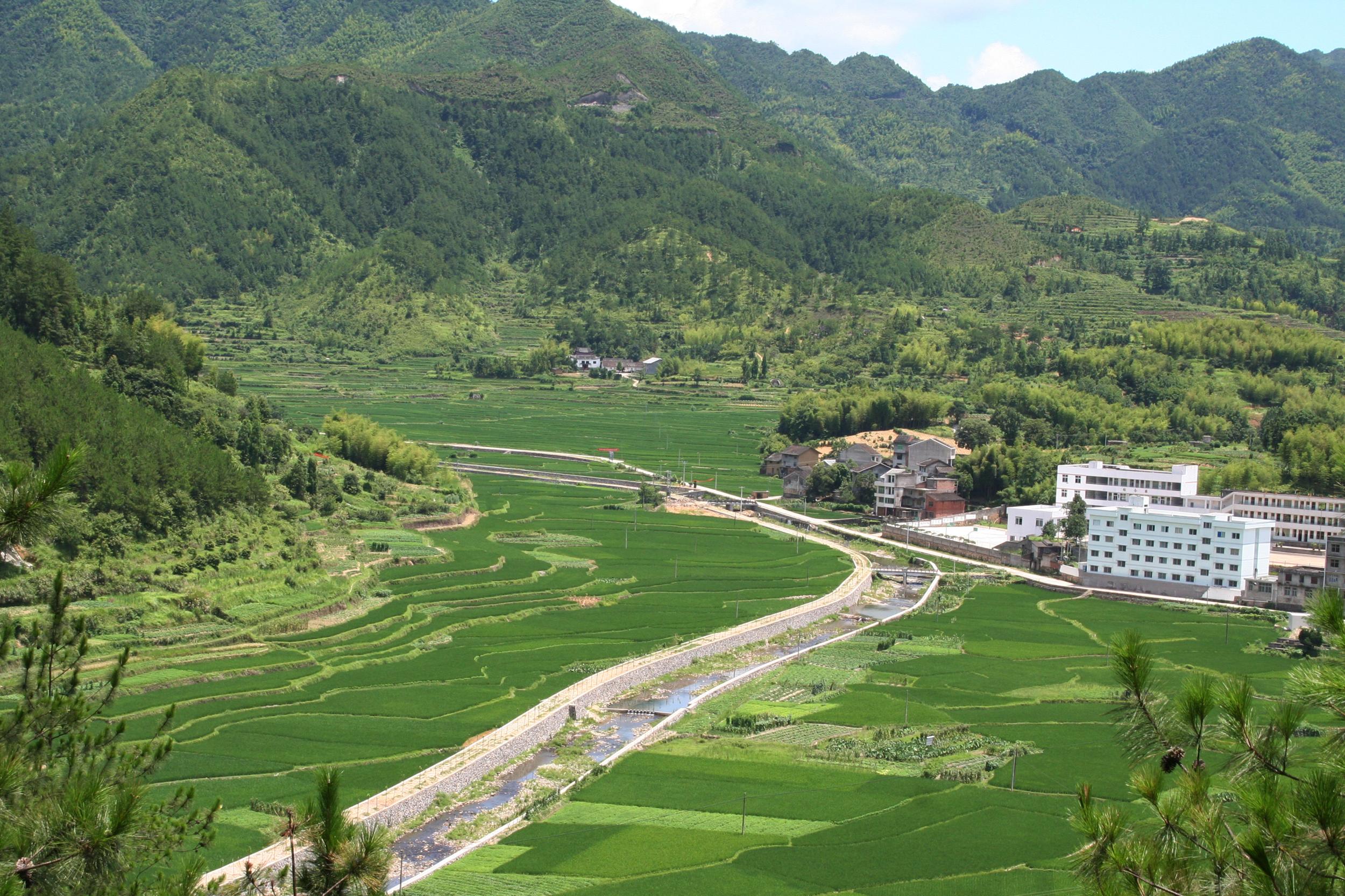 泰顺:绿色发展铸就农业农村生态梦-短信频道-温州网