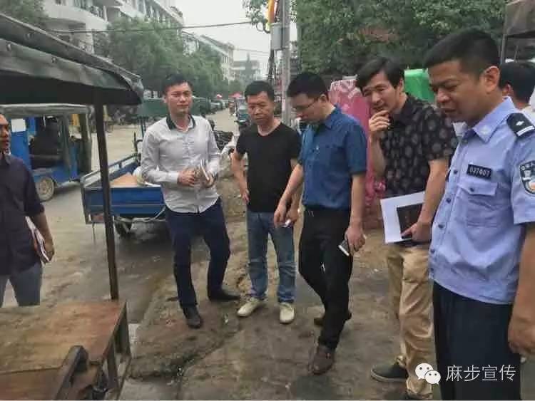 织密四张网,网起群众大小事——记麻步镇委书记王扎艇