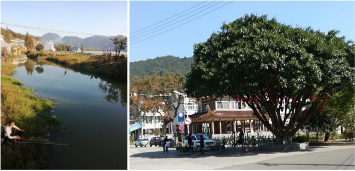 鹿城区藤桥镇枫林岙村