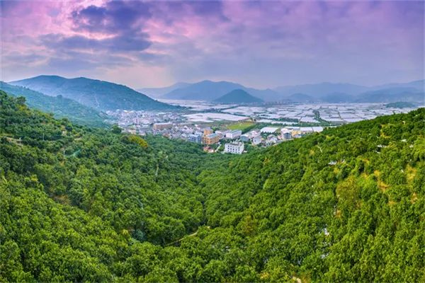 【文明村镇】 苍南县马站镇