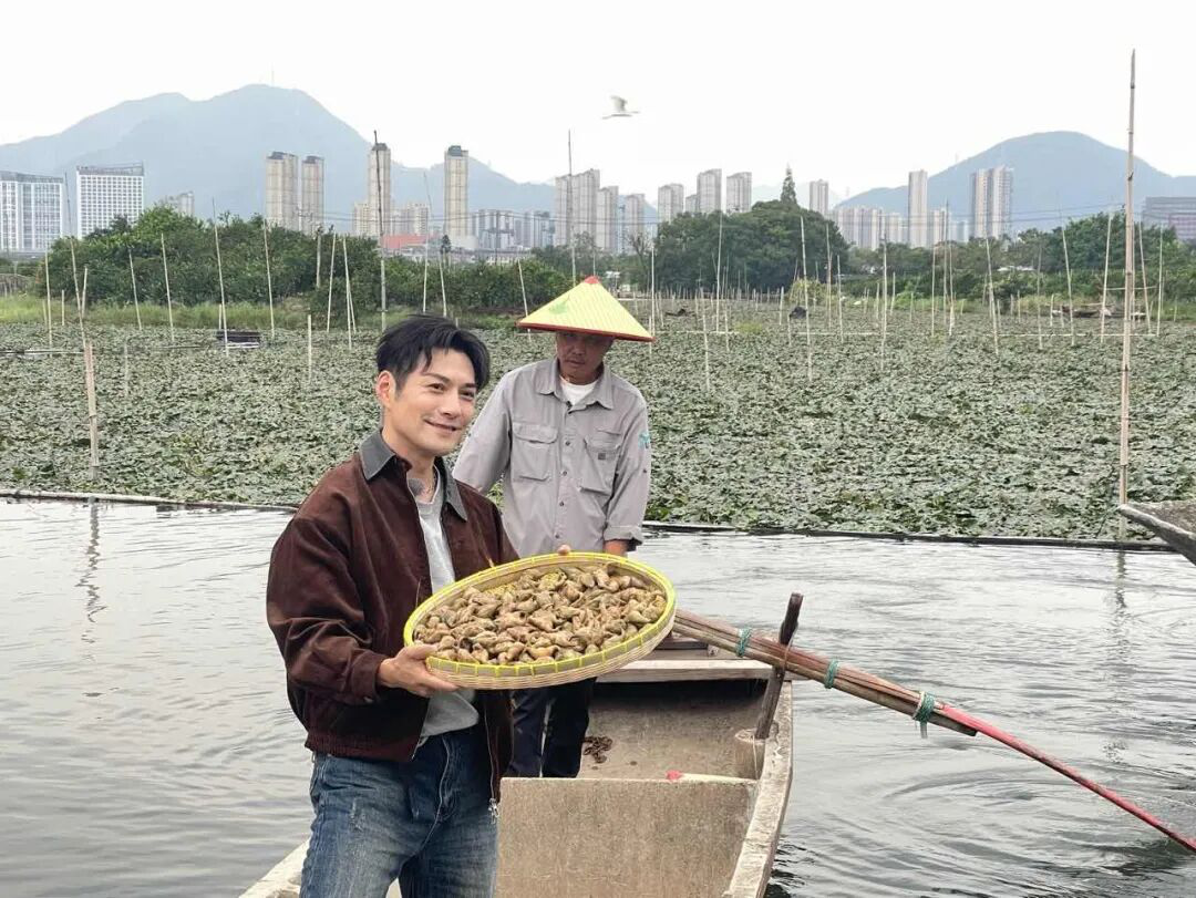 央视镜头聚焦三垟湿地:一枚菱角里的江南水韵