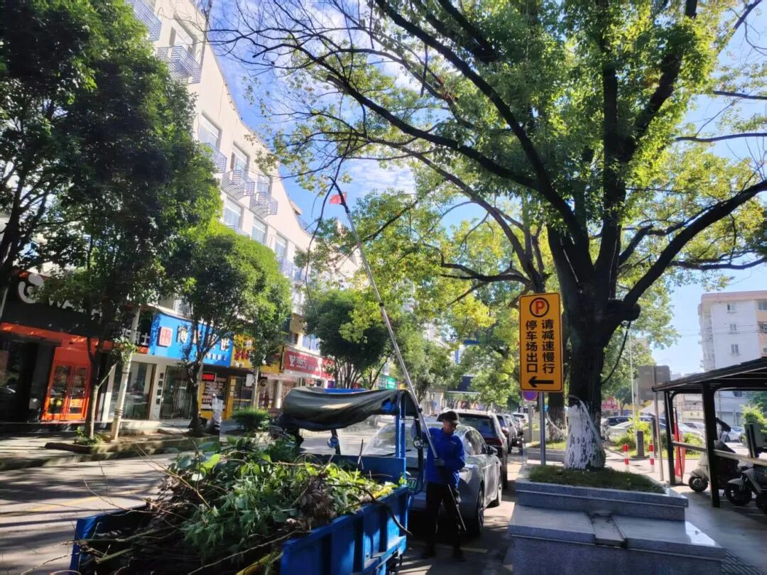 台风“巴威”步步逼近 平阳昆阳这群人却“逆向而行”